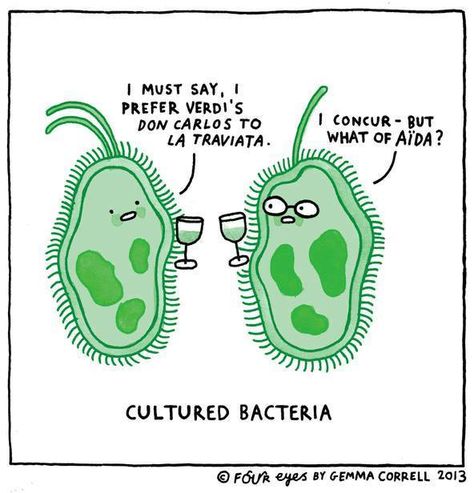 Cultured bacteria Science Cartoons, Gemma Correll, Biology Humor, Nerdy Humor, Science Puns, Nerd Jokes, Science Nerd, Nerd Humor, Teacher Memes