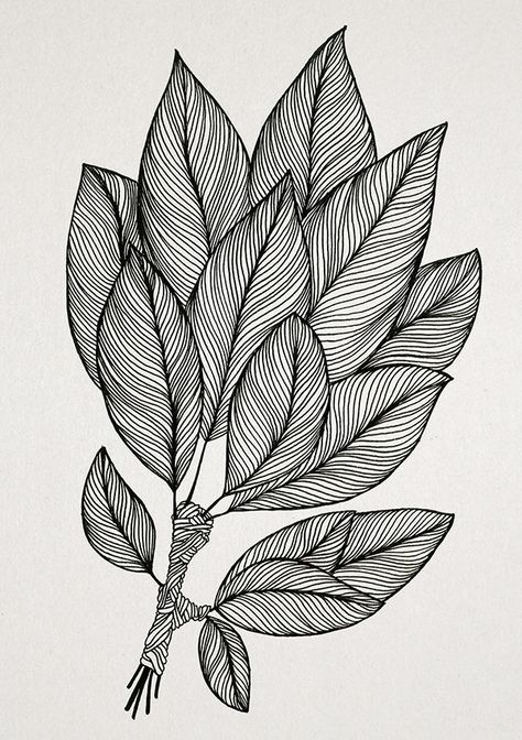 Leaves | Dindondesigns Zantangle Art, Leaves Drawing, Fineliner Art, Doddle Art, Drawing Step By Step, Pen Art Drawings, Zen Doodle Art, Flower Art Drawing, Drawing Step