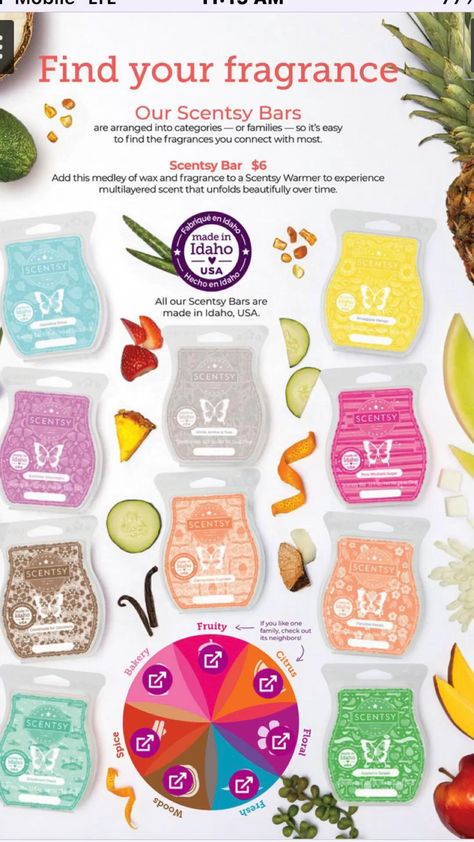 Scentsy Spring Summer 2022, Scentsy 2022, Scentsy Posts, Scentsy Catalog, Scentsy Candles, Scentsy Consultant Ideas, Personalised Santa Sacks, Scentsy Party, Scentsy Wax Bars