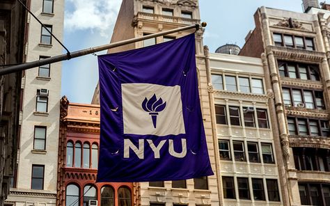 Masters in Management Online | NYU Stern School of Business Nyu Stern, Nyu Langone, Downtown Brooklyn, Business Management Degree, Career Management, Business Foundation, Customer Insight, Online Degree, Master Of Science