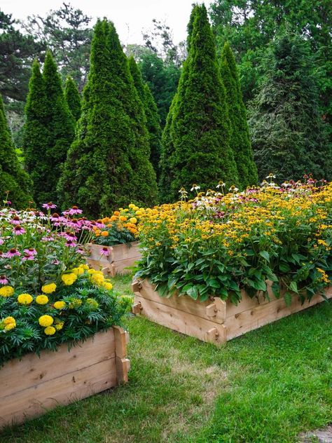 VENDOR IMAGE. LIMITED USE, CONTACT PRODUCTION. Vendor is OKAY with us using for PR and Social Kou Diabolik Lovers, Colorful Flower Beds, Cedar Raised Garden Beds, Garden Wallpaper, Magic Garden, Garden Cottage, Raised Garden Beds, Raised Garden, Garden Supplies