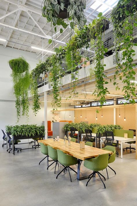 Biofilic Design, Coworking Office Design, Interior Design Green, Biophilic Architecture, Interior Design Plants, Mediterranean Interior Design, Mediterranean Interior, Green Interior Design, Cool Office Space