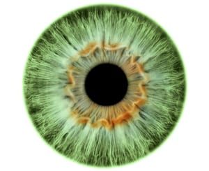 Eyes Iris, Iris Eye, Resin Eyes, Eye Texture, Eyes Artwork, Photos Of Eyes, Eye Eye, Pokemon Coloring, Green Eye