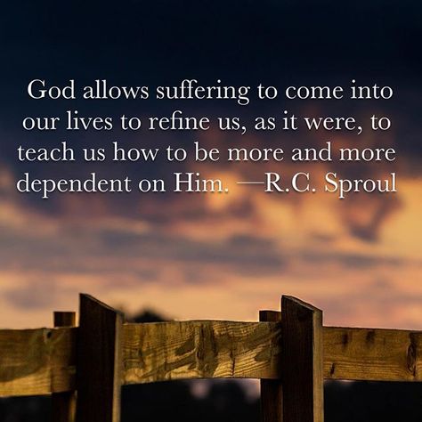 WEBSTA @vegaslady42 God allows suffering to come into our lives to refine us, as it were, to teach us how to be more and more dependent on Him. —R.C. Sproul Reformed Theology Quotes, Romans 5 3 4, Rc Sproul, Ligonier Ministries, R C Sproul, Christian Scriptures, Bible 2, Reformed Theology, Soli Deo Gloria