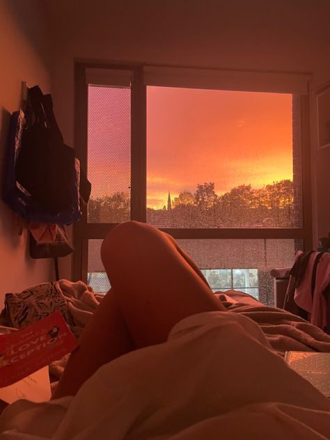 #sunset #roomdecoration #room #calm #books #lovedeception #sunsetphotography #inspopic #atardecer #habitación #residencia #university Sunset Aesthetic Room, Desired House, Bedroom Sunset, Sunset Bedroom, Sunset Room, Theodore Roethke, University Inspiration, Perfect Routine, Royal Bedroom