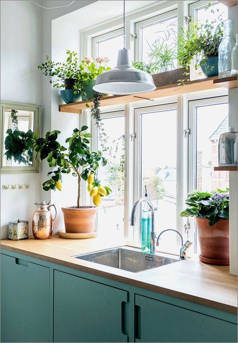 Plants bring truly unrivaled detail into the home. Regardless of your preference — a hanging unit, a floating ledge, or a simple perch — allow the picture-perfect spots ahead to serve as the plant-spiration you need. #hunkerhome #plants #window #windowplants #hangingplants Kitchen Window Shelf, Kitchen Window Shelves, Window Plant Shelf, Kitchen Lighting Over Table, Kitchen Sink Window, Model Dapur, Kitchen Plants, Window Plants, Window Shelves