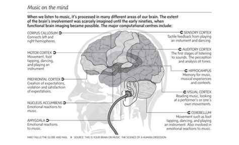 The Surprising Science Behind What Music Does To Our Brains Music And The Brain, Learning Piano, Corpus Callosum, The Human Brain, Drum Lessons, Reasoning Skills, Music Ed, Singing Tips, Les Chakras