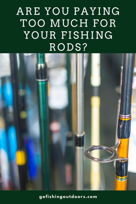 Fish Types, Best Fishing Rods, Fishing Rods And Reels, Fly Fishing Rods, Fishing Supplies, Freshwater Fishing, Fishing Rods, Rod And Reel, Going Fishing