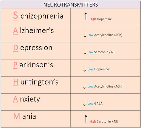 Types Of Neurotransmitters, Neuroscience And Psychology, Abnormal Psych Notes, Neurotransmitters Notes, Biological Psychology Notes, Psych Nursing Notes, Neuroscience Books To Read, Eppp Study Guide, Neuropsychology Student