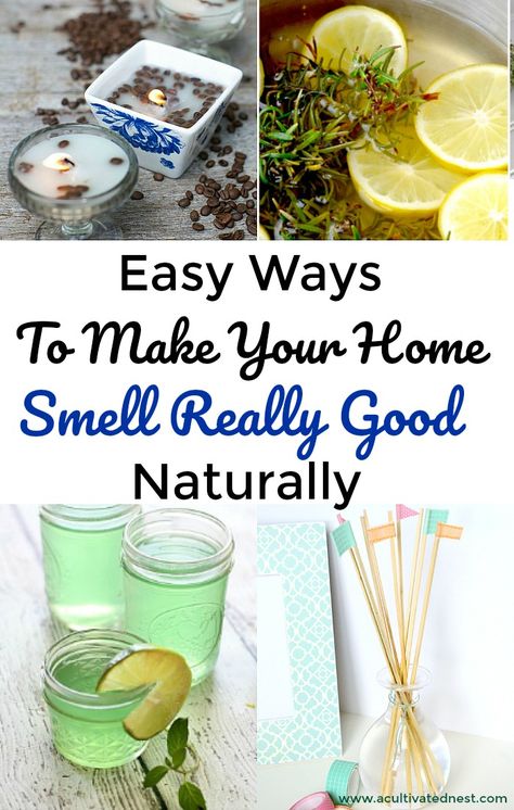 Diy Room Fragrance, Fragrance Hacks, Natural Room Deodorizer, Pot Potpourri, Simmer Pot Recipes, Room Deodorizer, Homemade Air Freshener, Diy Fragrance, Simmer Pot