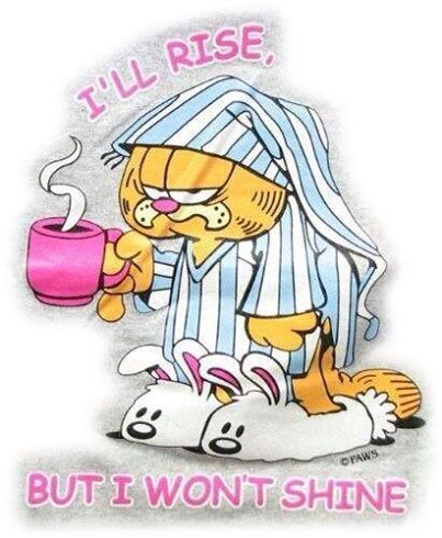 Ill rise but I wont shine quotes cute quote morning garfield good morning funny morning quotes Kaffe Humor, Garfield Quotes, Funny Good Morning, Garfield Cartoon, Garfield Comics, Garfield And Odie, Funny Good Morning Quotes, Good Morning Funny, Morning Humor