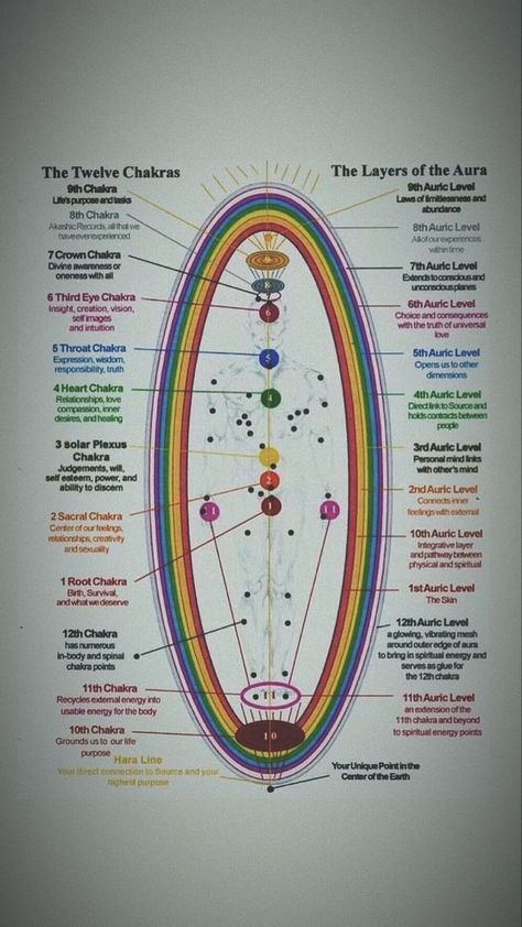 13 Chakras, 12 Chakras, Chakra For Beginners, Beautiful Spine Tattoos, Align Your Chakras, Spine Tattoo Ideas, Chakra Healing Meditation, Animal Tattoo Ideas, Chakra Health