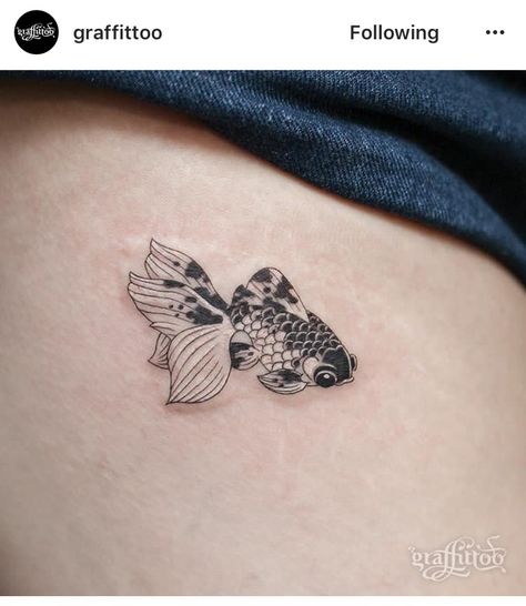 Coy Fish Tattoos, Goldfish Tattoo, Korea Tattoo, Tattoo Wallpaper, Wanderlust Tattoo, Koi Fish Tattoo, Shark Tattoos, Fish Tattoo, Dream Tattoos