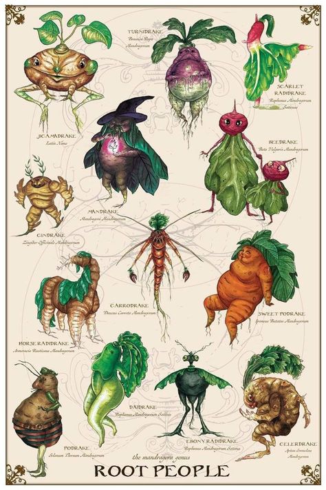 Harry Potter Poster, 강아지 그림, Botanical Illustration Vintage, Illustration Vintage, Mushroom Art, 판타지 아트, Tattoo Ink, Magical Creatures, Character Designs