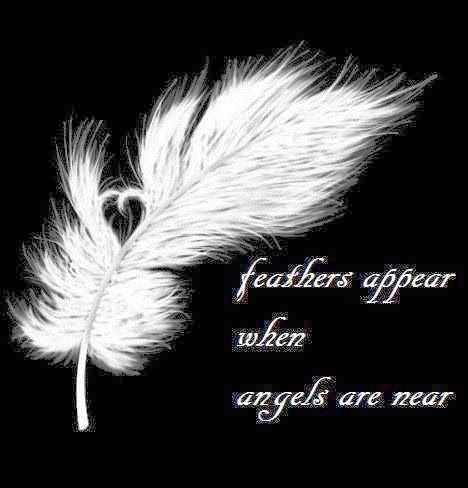 Feather Tattoos, November Quotes, Angel Quotes, Angel Feathers, I Believe In Angels, Archangel Gabriel, White Feather, Archangel Michael, Guardian Angels