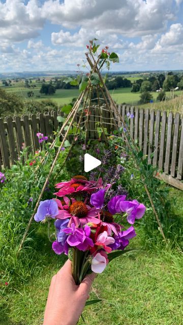 Sweet Pea Teepee, Bean Teepee, Zinnia Garden, Cut Flower Farm, Lake Garden, Sweet Pea Flowers, Runner Beans, So Satisfying, Creative Gardening