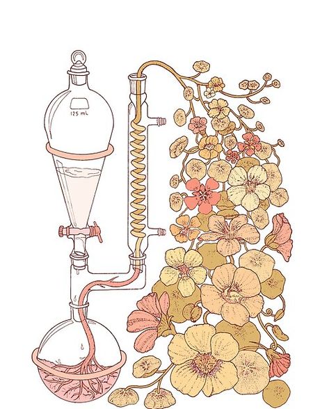 julierorrer Shop | Redbubble Aesthetic Science Drawings, Chemical Engineering Art, Chemistry Art Design, Chemistry Flowers, Organic Chemistry Art, Chemistry Art Design Illustrations, Stickers Science Aesthetic, Science Aesthetic Sticker, Chemistry Stickers Aesthetic