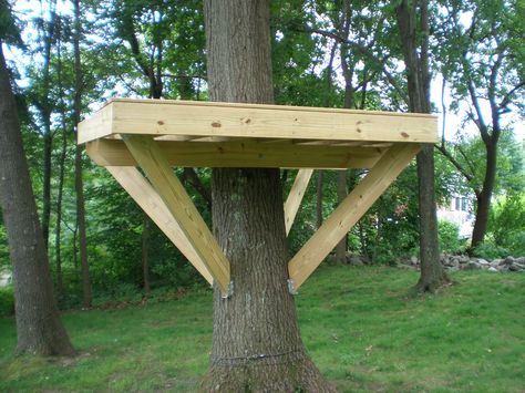 Tree platform, steps at http://villagecustomfurniture.wordpress.com/2012/06/25/tree-fort-platform/ Tree Platform, Garden Tree House, House Ladder, Tree House Interior, Simple Tree House, Trees House, Backyard Fort, Building A Treehouse, Backyard Trees