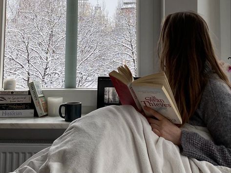 Reading A Book, The Window, A Book, A Girl, A Woman, Trees, Reading, Bed, Christmas