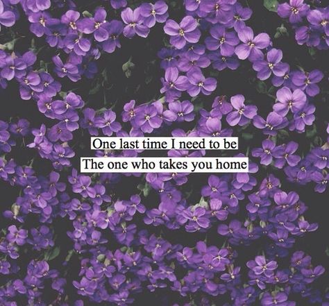 ❁✧ⓚⓘⓣⓐ✧❁ Ariana Grande Songs Lyrics, One Last Time Ariana, Ariana Grande Quotes, Ariana Grande Lyrics, Ariana Grande Songs, One Last Time, Ariana Grande Wallpaper, Song Lyric Quotes, Favorite Lyrics