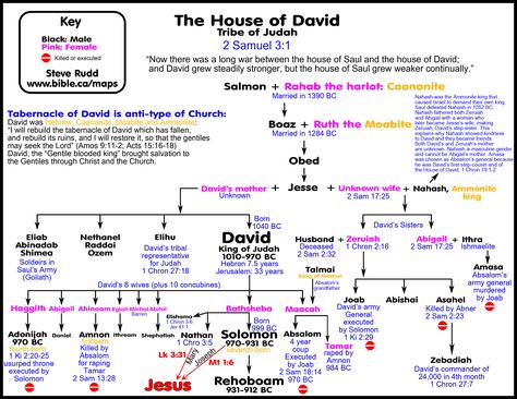 Divided kingdom and David's Civil war with the House of Saul ... Biblical Genealogy, Tabernacle Of David, Bible Genealogy, Bible Study Help, Tribe Of Judah, 2 Samuel, Bible Study Notebook, Bible History, King David