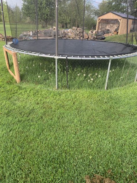 How to Turn A Trampoline into a Chicken Coop and Still Jump on It! 2 Trampoline Chicken Run, Trampoline Chicken Coop Diy, Trampoline Chicken Coop, Chicken Shelter, Old Trampoline, Meat Birds, Chicken Coup, Chicken Tractor, Chicken Run