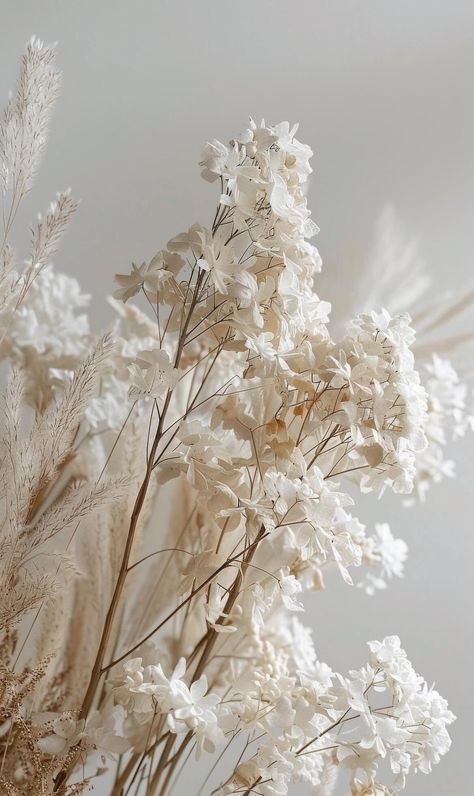 Close Up of a Plant With White Flowers Warm White Aesthetic, Elf Moodboard, White Flowers Aesthetic, Scrapbooking Background, Boho Images, White Flowering Plants, Brown Pictures, Soft Flowers, White Things