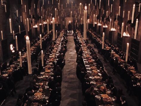 Hogwarts University, Hogwarts Visuals, Hogwarts Interior, Hogwarts Teachers, Hogwarts Shifting, Dr Visuals, Hogwarts Great Hall, Harry Potter Hogwarts Castle, Gryffindor Aesthetic