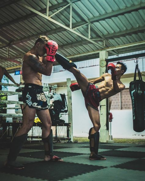 Types Of Martial Arts, Muay Boran, Muay Thai Gym, Boxing Techniques, Boxe Thai, Mma Gym, Muay Thai Training, Boxing Coach, Hapkido