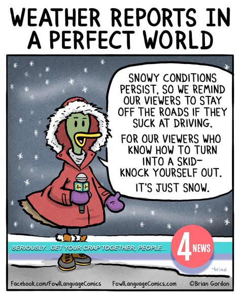 Fowl Language by Brian Gordon for January 09, 2020 - GoComics Humour, Cold Weather Memes Humor, Weather Memes Humor, Cold Weather Funny, Cold Weather Memes, Brian Gordon, Fowl Language Comics, Winter Humor, Snow Humor