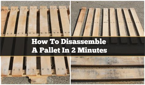 How to Easily Disassemble A Pallet. Plus 20+ DIY Outdoor Pallet Furnitures Projects with Instructions. #pallet, Outdoor Pallet, Pallet Projects Furniture, Wooden Pallet Furniture, Pallet Creations, Wooden Pallet Projects, Pallet Outdoor, Pallet Crafts, Diy Holz, Pallet Furniture Outdoor