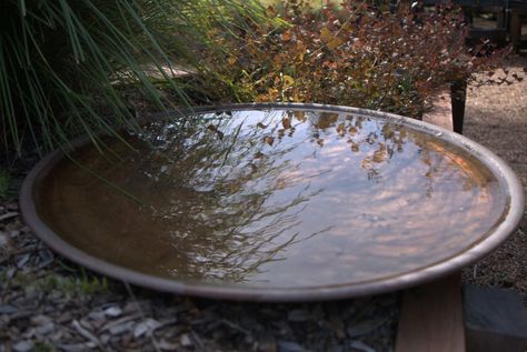 This copper bird bath is spun by a local metal spinner. It is wide and shallow so that it will occasionally dry out, inhibiting mosquito populations. $595 excluding delivery. I Metal Bird Bath Ideas, Large Bird Bath Ideas, Large Bird Baths, Copper Bird Bath, Metal Bird Bath, Bird Bath Bowl, Bird Bath Garden, Bird Baths, Copper Bowl