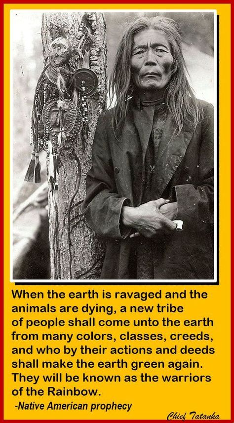 Embedded image | American indian quotes, Native american quotes, Native american spirituality Native Quotes, American Indian Quotes, Native American Prayers, Native American Spirituality, American Quotes, Indian Quotes, Native American Wisdom, Sitting Bull, Rainbow Warrior