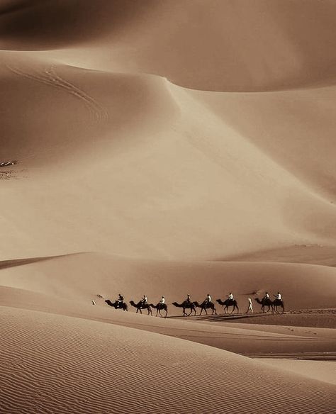 Arabian Peninsula Aesthetic, Beige Desert Aesthetic, Middle Eastern Landscape, Desert People Aesthetic, Ancient Arabian Aesthetic, Sahara Desert Aesthetic, Arab Aethstetic, Arabian Desert Aesthetic, Saudi Money