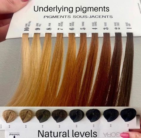 Level 6 Hair, Level 6 Hair Color, Level 7 Hair Color, Wella Toner, Hair Chart, Hair Levels, Wella Hair Color, Balayage Blond, Wella Color Charm