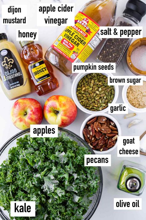 Kale Apple Salad! This easy and fall-inspire kale apple salad is perfect for the season. Packed with soft kale, sweet honeycrisp apples, pecans, and a homemade apple cider vinaigrette. Autumn Kale Apple And Quinoa Salad, Fall Healthy Salads, Kale Apple Goat Cheese Salad, Kale Apple Cranberry Salad, Kale Apple Pecan Salad, Kale Salad Apple, Kale Apple Walnut Salad, Kale Salad Lunch, Kale And Apple Salad Recipes