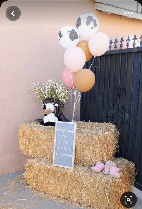 Stuffed Animal Petting Zoo, Cowboy Or Cowgirl Gender Reveal Centerpieces, 1st Rodeo Birthday Decorations, Vaquera Gender Reveal, Cowgirl Style Outfits Pregnant, 1st Rodeo Centerpieces Pink, Sweet 16 Party Ideas Cow Theme, Gender Reveal Farm Ideas, Cow Print Centerpiece Ideas