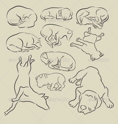 Dog Sleeping Sketches by ComicVector703 | GraphicRiver Dog Sketch Easy, Dogs Sketch, Sleeping Drawing, Cartoon Wolf, Dog Outline, Dog Sleeping, Dog Sketch, 강아지 그림, Dog Tattoo