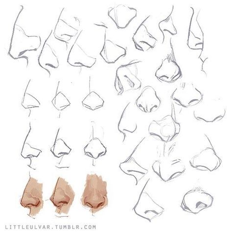 얼굴 드로잉, Nose Drawing, 얼굴 그리기, Anatomy Sketches, Drawing Style, Anatomy Drawing, Figure Drawing Reference, Body Drawing, Anatomy Art