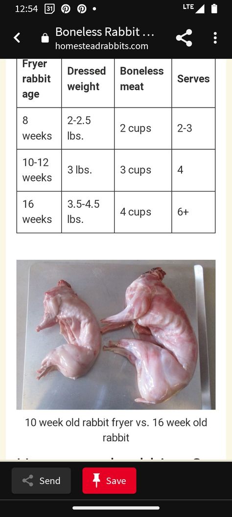 Rabbit Meat Packaging, Rabbits For Meat, Meat Packaging, Rabbit Meat, Young Rabbit, Meat Rabbits, Rabbit Breeds, New Media, Rabbits