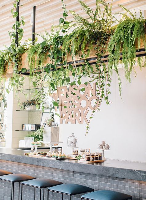 Pot Gantung, Hanging Leaves, Interior Design Plants, Plants Hanging, Indoor Plant Wall, Hanging Plant Wall, Ivy Leaves, Deco Nature, Coffee Shops Interior