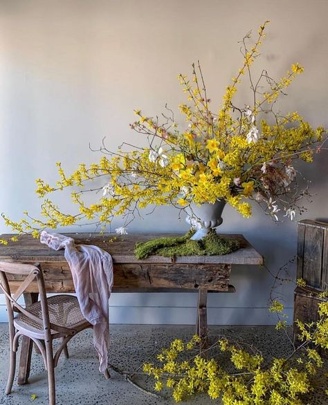 Spring Floral Arrangements, Flower Installation, Floral Studio, In Full Bloom, Arte Floral, Beautiful Blooms, Garden Styles, Cut Flowers, Daffodils