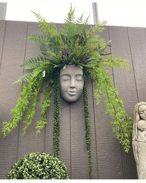 نباتات منزلية, Face Planters, Garden Decor Projects, Head Planters, Plant Decor Indoor, House Plants Decor, Plant Lighting, Balcony Garden, Backyard Landscaping Designs