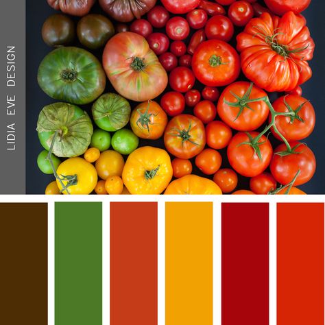 tomato theme Tomato Color Palette, Fast Pasta, Food Colors Palette, Tomato Color, Website Color Palette, Color Mixing Chart, Color Palette Challenge, Brand Color Palette, Color Balance