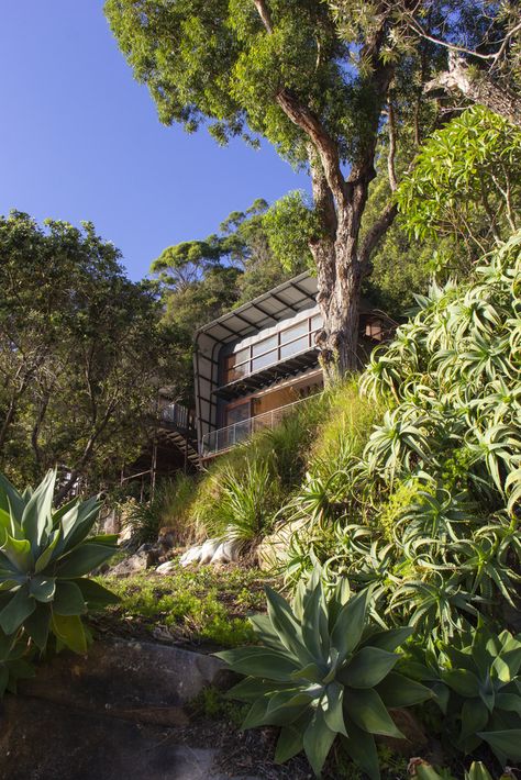 Gallery of Hart House / Casey Brown Architecture - 12 Brown Building, Brown Architecture, Australian Beach House, Hart House, Australian Beach, Warm Palette, Aluminum Roof, Beach Shack, Beach House Design