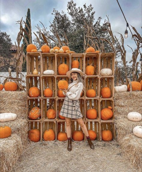 Pumpkin Patch Festival Ideas, Pumpkin Patch 2024, Pumpkin Patch Photo Props, U Pick Pumpkin Patch, Fall Themed Photo Booth Backdrop, Fall Picture Set Up Ideas Outdoor, Mini Pumpkin Patch Ideas, Fall Selfie Station, Fall Mini Set Up