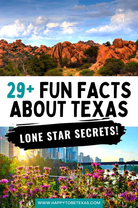 Fun facts about Texas Best Facts, Texas Quotes, Texas Art, Texas City, Texas History, History Facts, Lone Star, Fun Fact, Interesting Facts