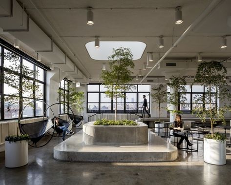 Light & plants to elements of biophilic design for the modern office. Tech Office, Cool Office Space, New York Office, City Office, Office Space Design, Office Lounge, Indoor Trees, Windows Vista, Cool Office