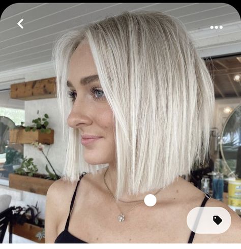 Bob Haircut Styles, Short Blonde Bob, Ice Blonde Hair, Bright Blonde Hair, Blonde Bob Haircut, Just Go For It, Bleach Blonde Hair, Blonde Bob Hairstyles, Haircut Styles