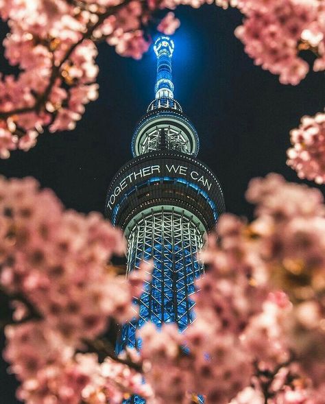 Korea Pictures, Phone Wallpaper Pastel, Namsan Tower, Seoul Korea Travel, Korea Wallpaper, City Pictures, Phone Wallpaper For Men, Iconic Buildings, Korea Travel